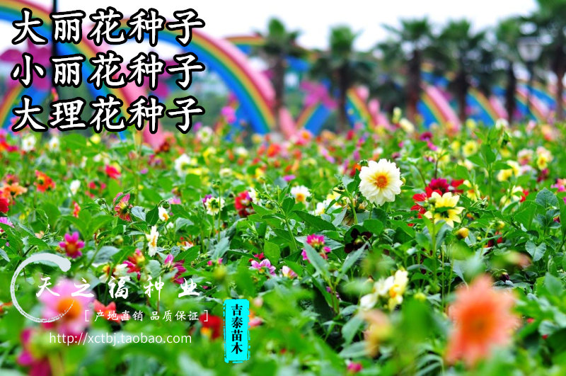 人工智能在中国这五点更值得期待:kaiyun开云网页版(图3) kaiyun网页登录入口