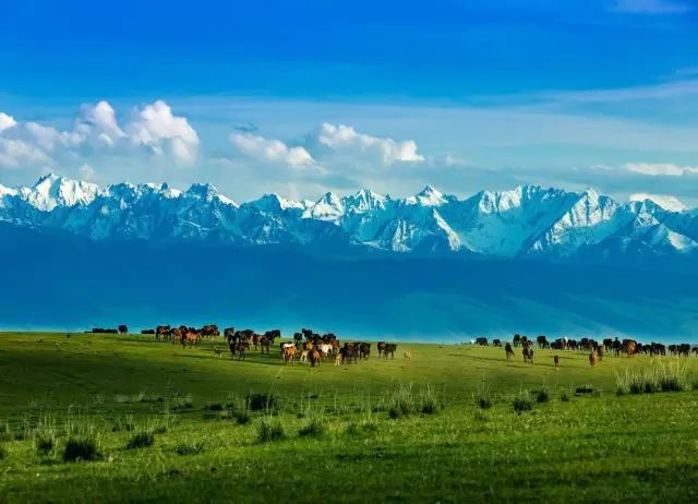 kaiyun开云官方在线登录